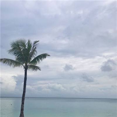 小小伊利丹游戏